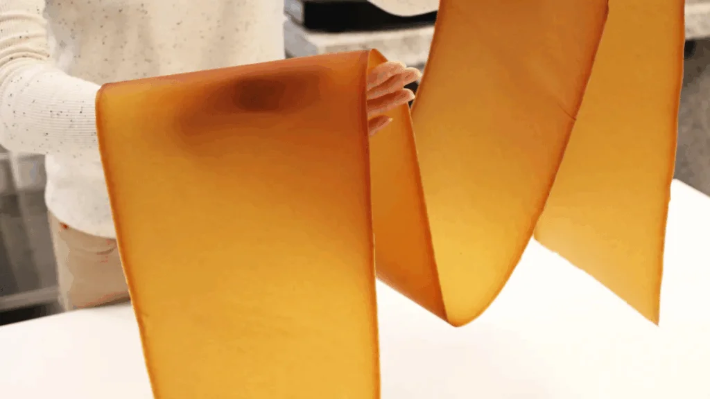 Sustainable Fashion